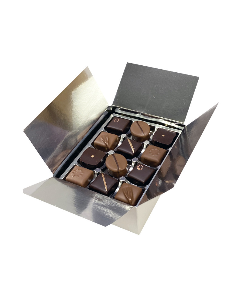 Ballotin de chocolats assortis Edition Noël, 465g